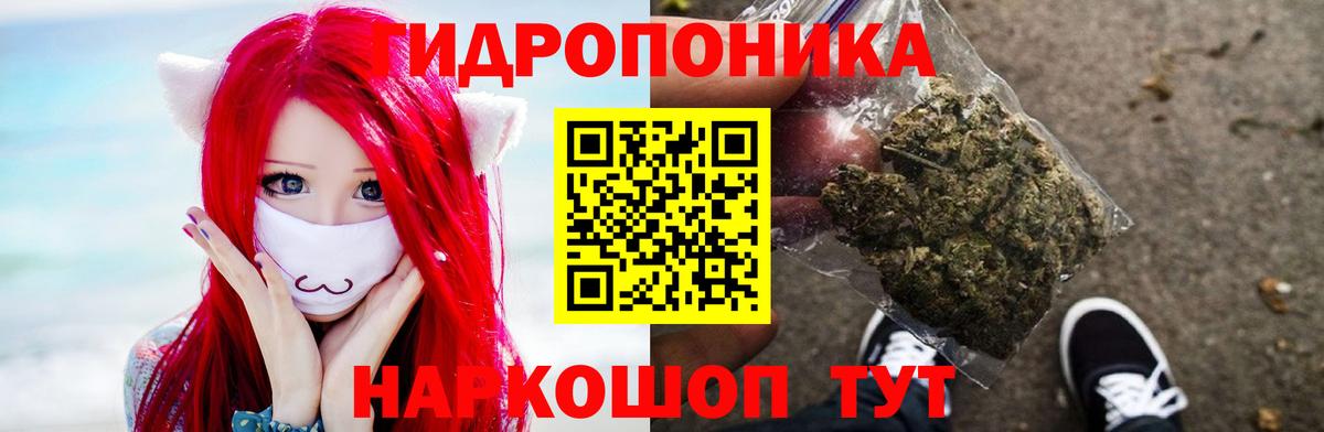 Шишки марихуана White Widow  МАРИХУАНА индика  Южноуральск  МАРИХУАНА Bruce Banner  Вход с VPN  МАРИХУАНА Amnesia 